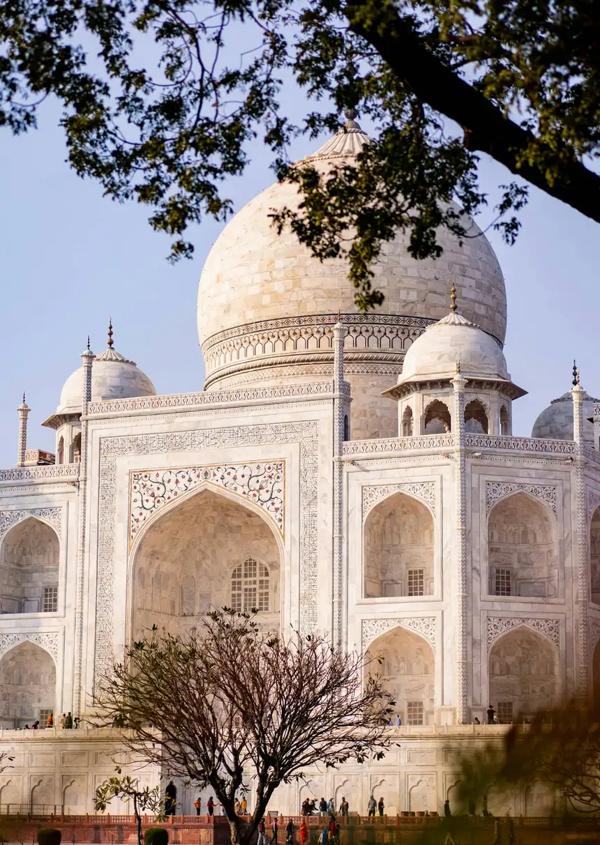 O Taj Mahal visto entre as árvores do jardim, ao amanhecer